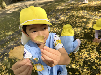 ばら組県庁②.jpg