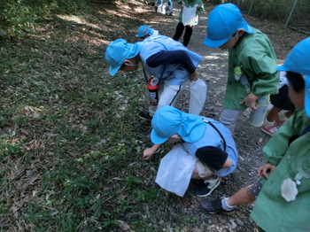 立田山散策④.JPG